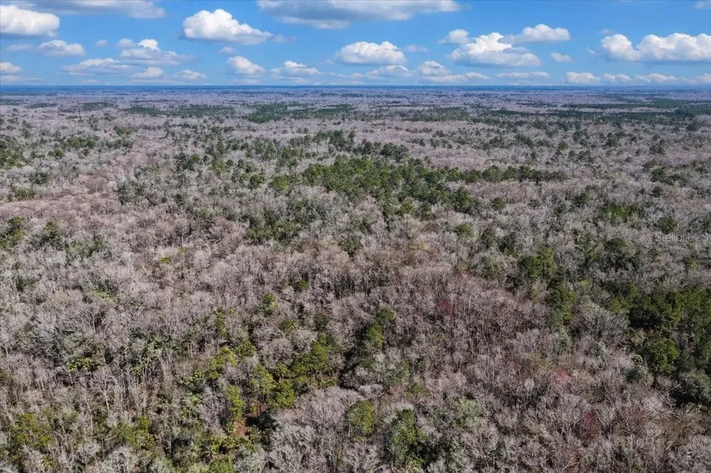 86.77 Acres SW Turtle Pass Road Chiefland FL 32626