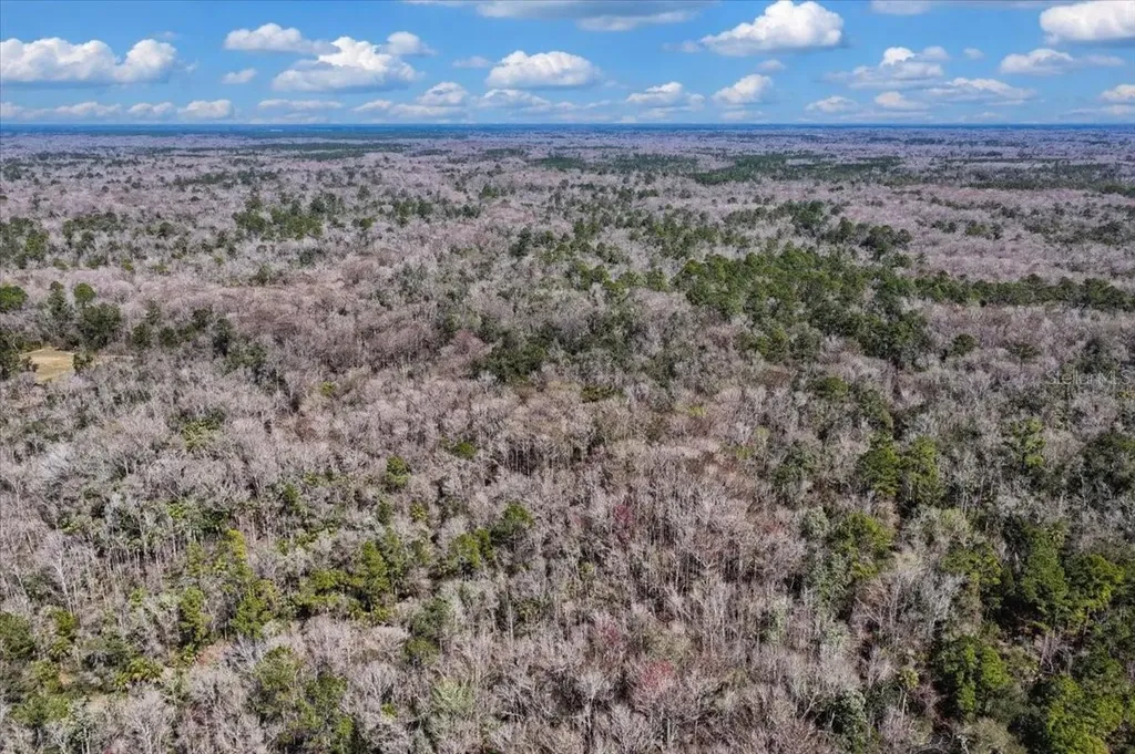 86.77 Acres SW Turtle Pass Road Chiefland FL 32626