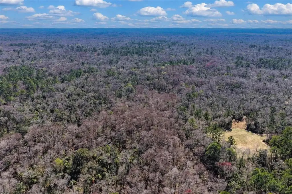 86.77 Acres SW Turtle Pass Road Chiefland FL 32626