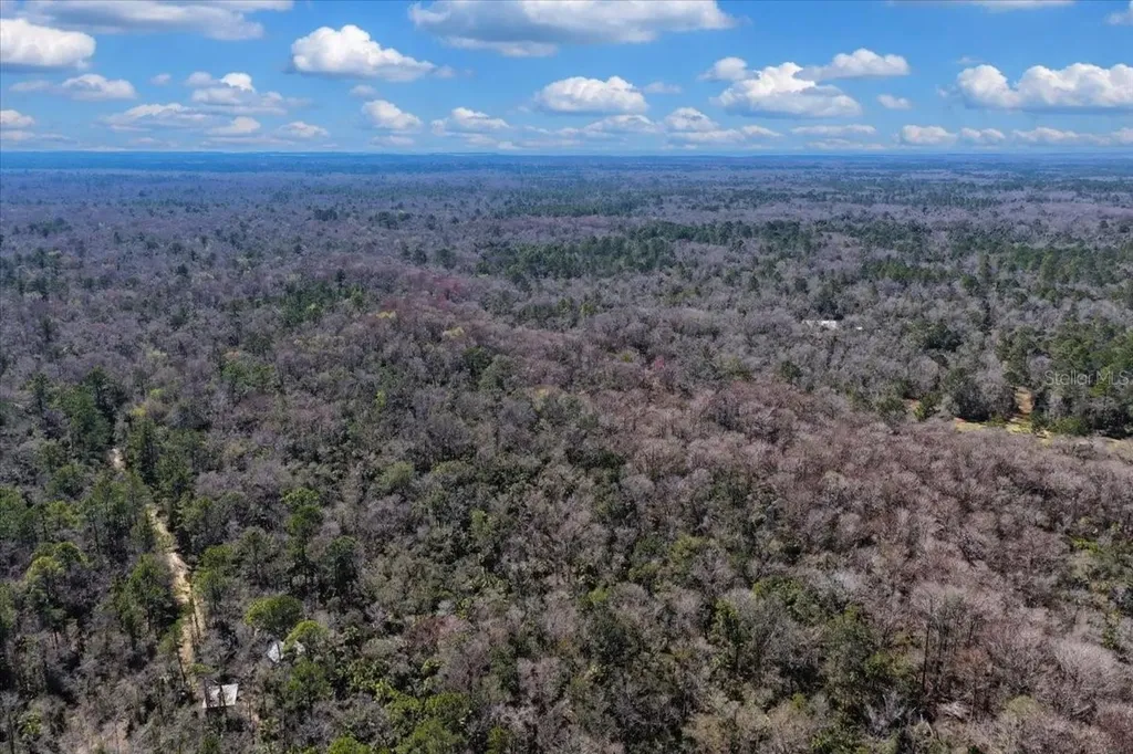 86.77 Acres SW Turtle Pass Road Chiefland FL 32626