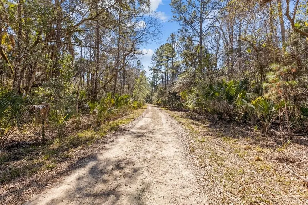 86.77 Acres SW Turtle Pass Road Chiefland FL 32626