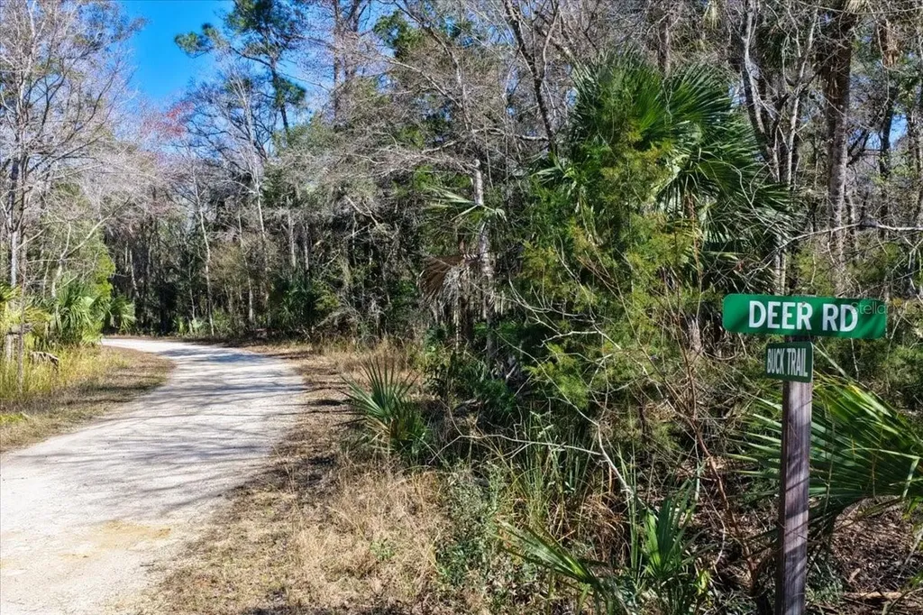86.77 Acres SW Turtle Pass Road Chiefland FL 32626