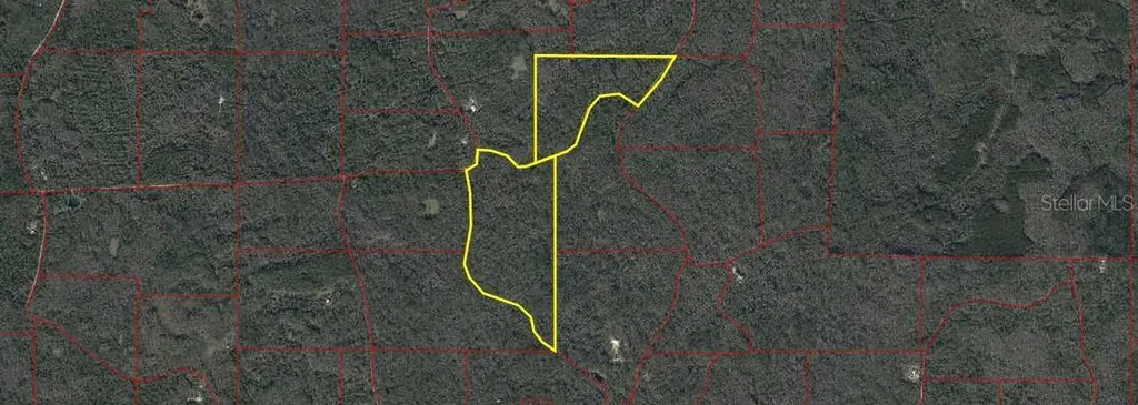 86.77 Acres SW Turtle Pass Road Chiefland FL 32626