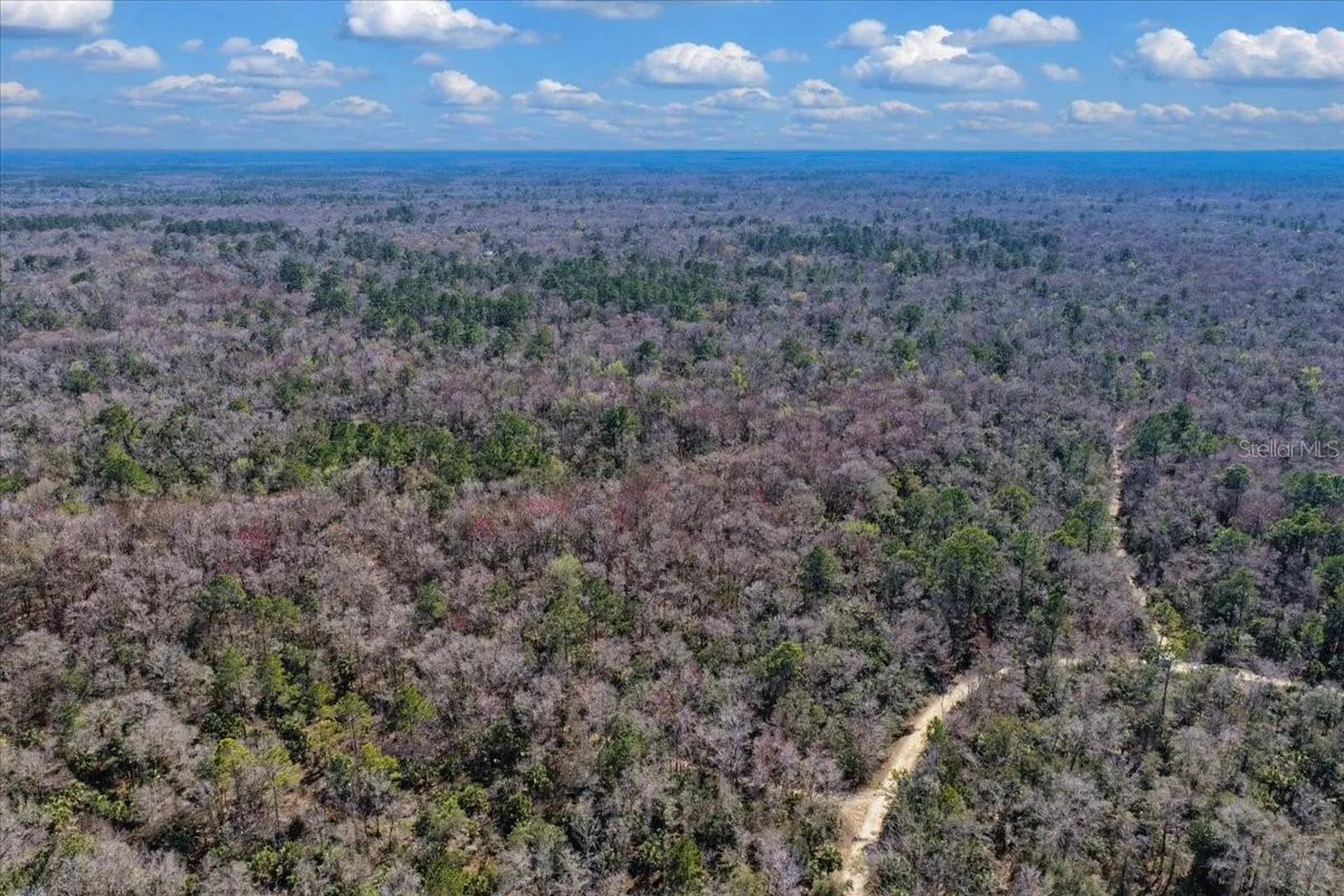 86.77 Acres SW Turtle Pass Road Chiefland FL 32626