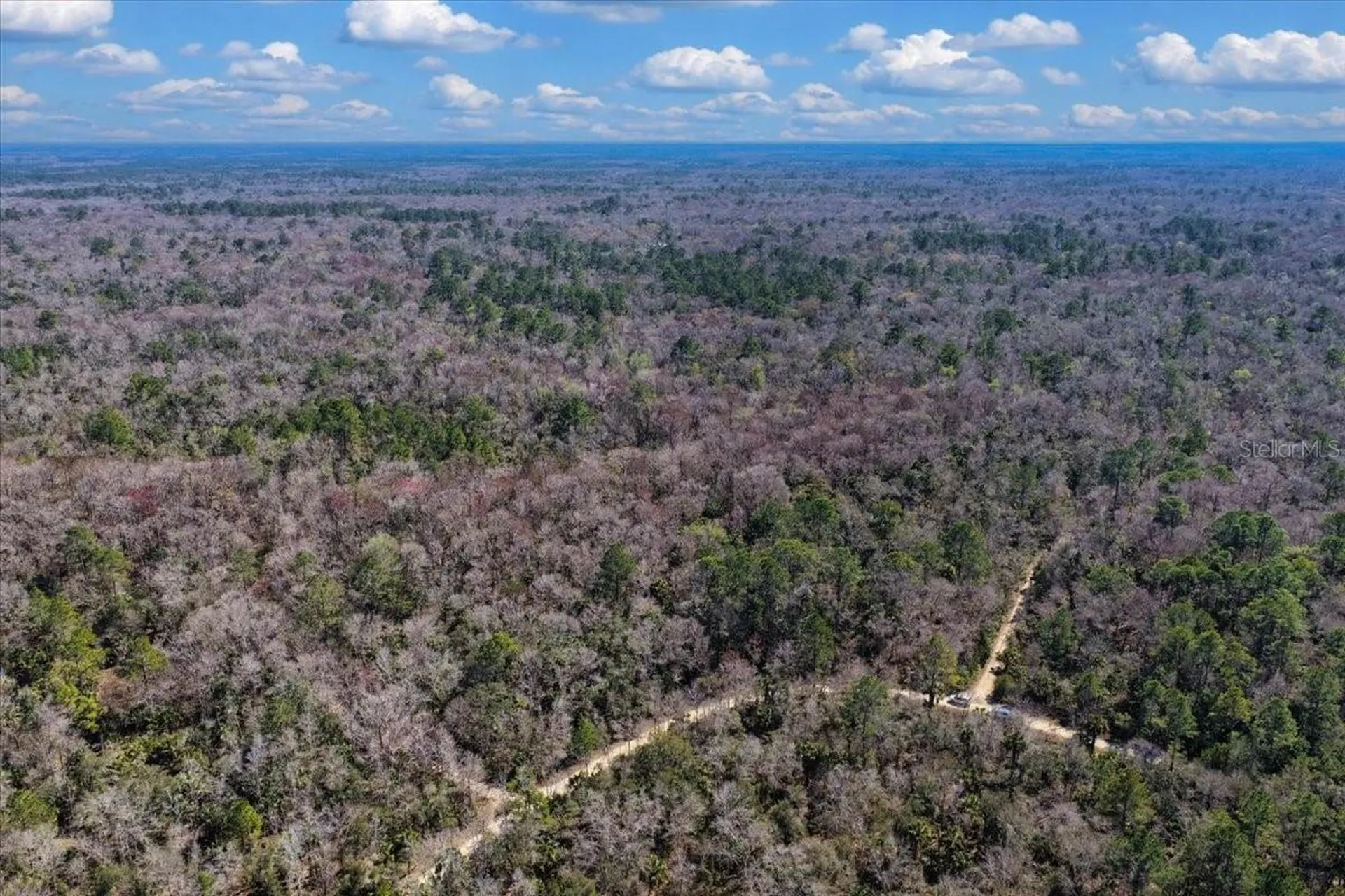 86.77 Acres SW Turtle Pass Road Chiefland FL 32626