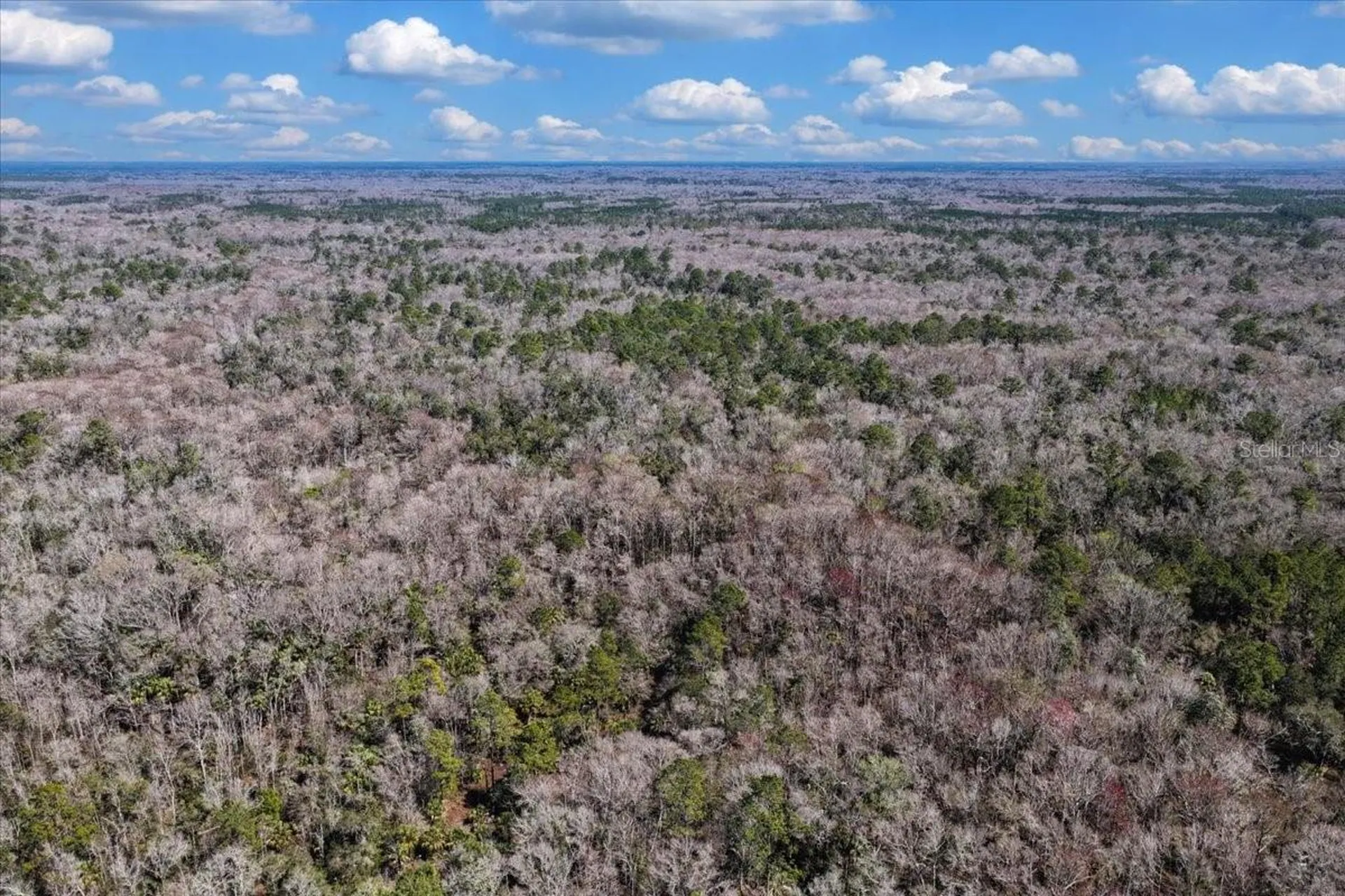 86.77 Acres SW Turtle Pass Road Chiefland FL 32626