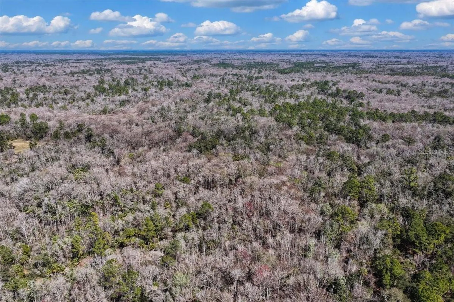 86.77 Acres SW Turtle Pass Road Chiefland FL 32626