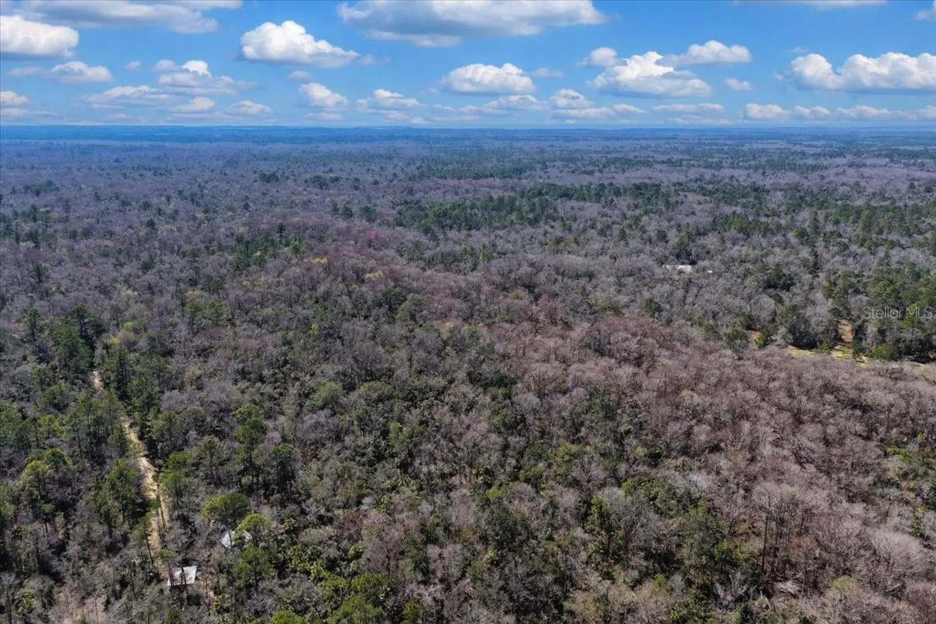 86.77 Acres SW Turtle Pass Road Chiefland FL 32626