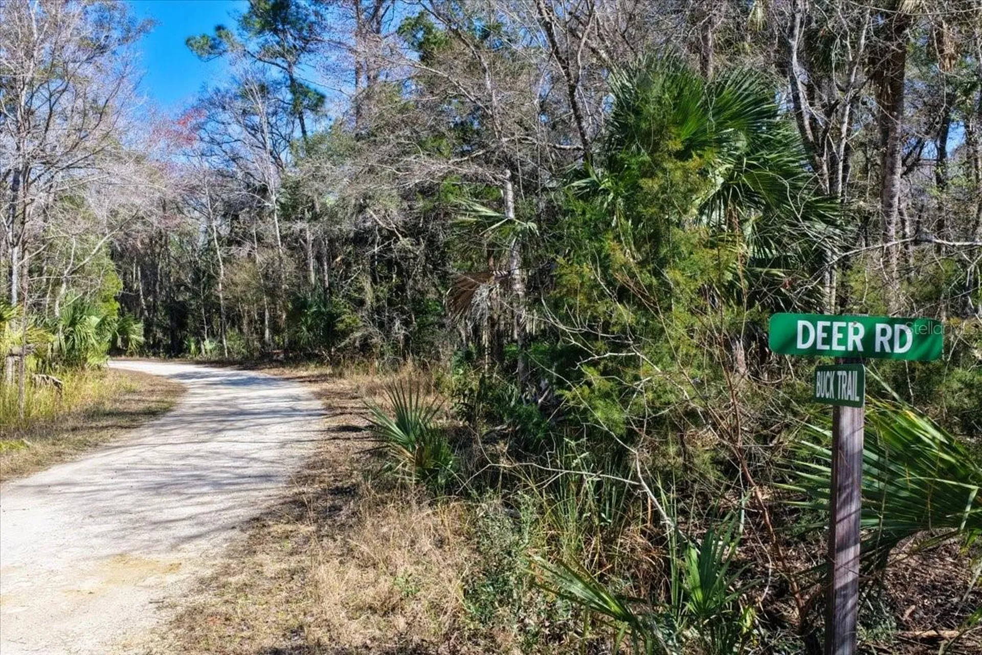 86.77 Acres SW Turtle Pass Road Chiefland FL 32626