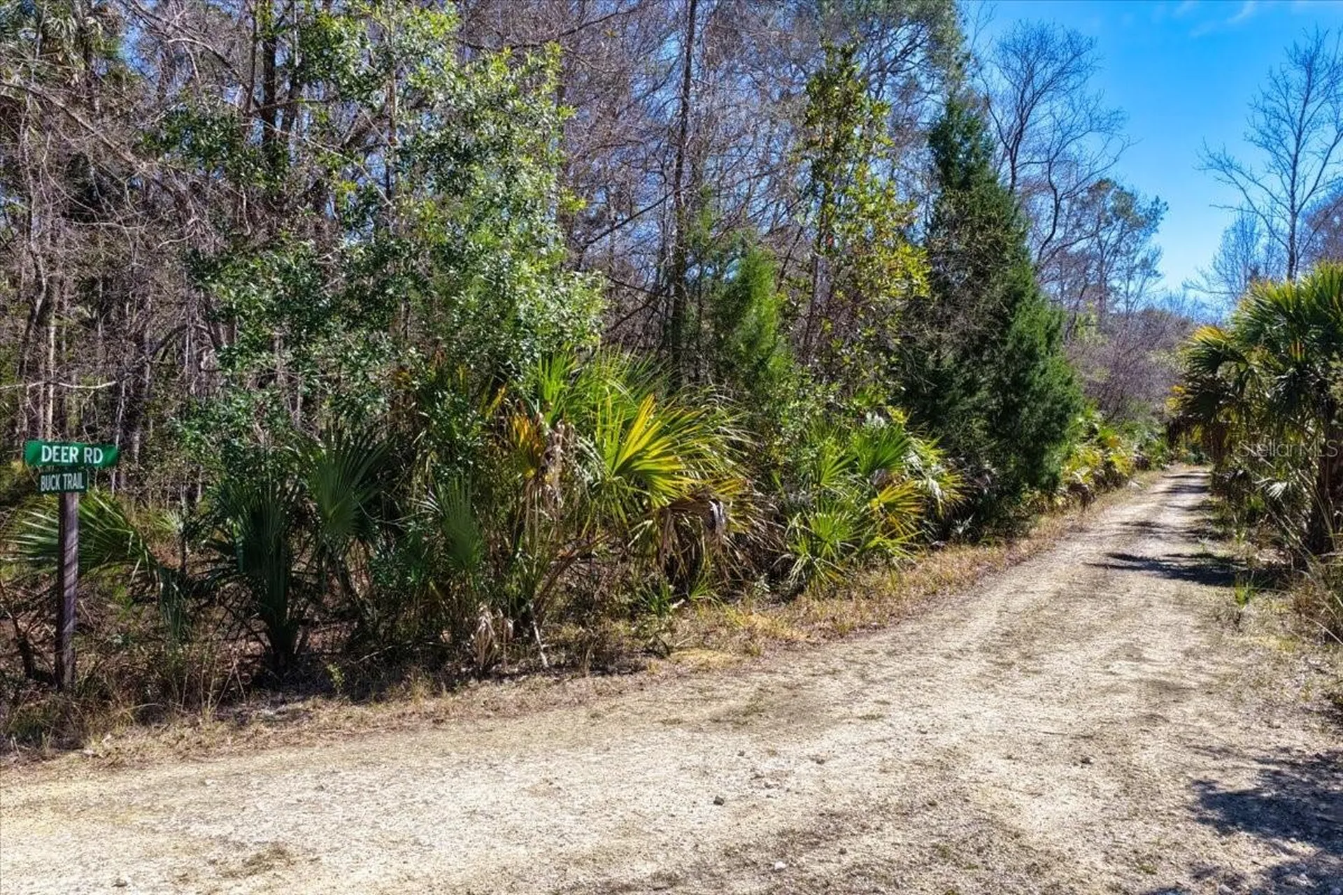 86.77 Acres SW Turtle Pass Road Chiefland FL 32626