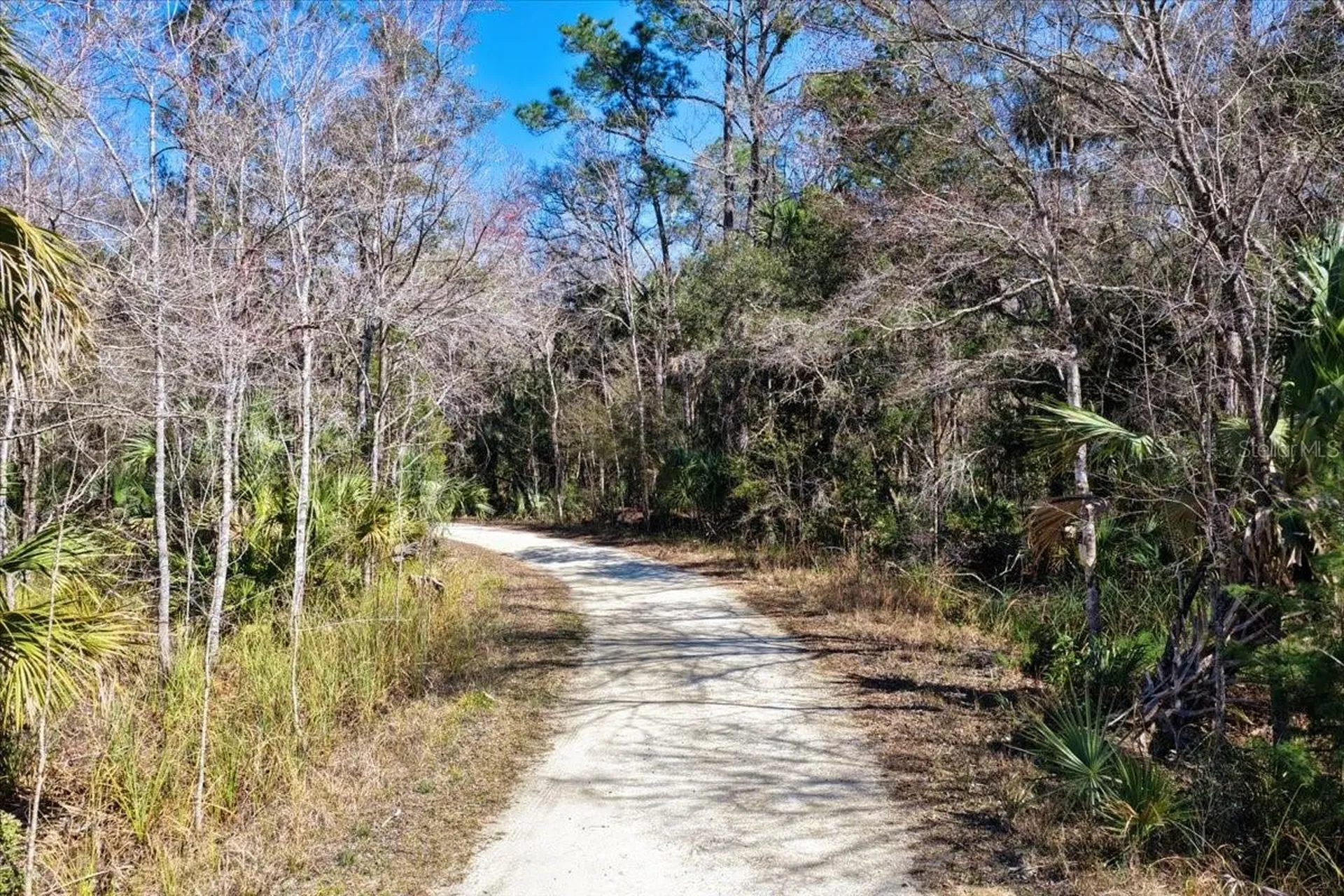 86.77 Acres SW Turtle Pass Road Chiefland FL 32626