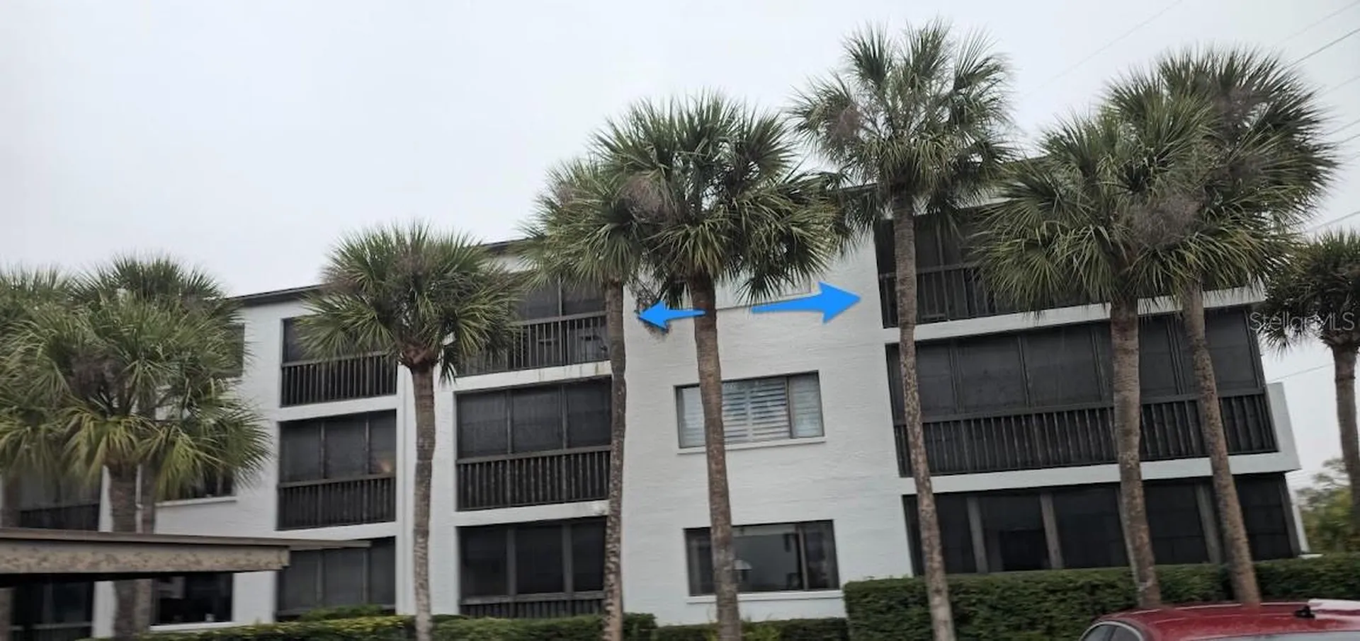 2593 Countryside Boulevard Clearwater FL 33761