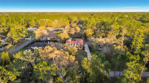 13009 Roberts Island Road Orlando FL 32832