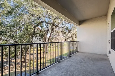 4607 Tuscan Loon Drive Tampa FL 33619