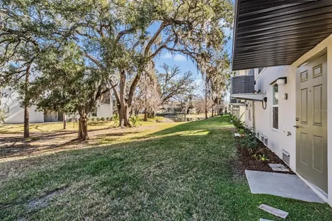 4607 Tuscan Loon Drive Tampa FL 33619