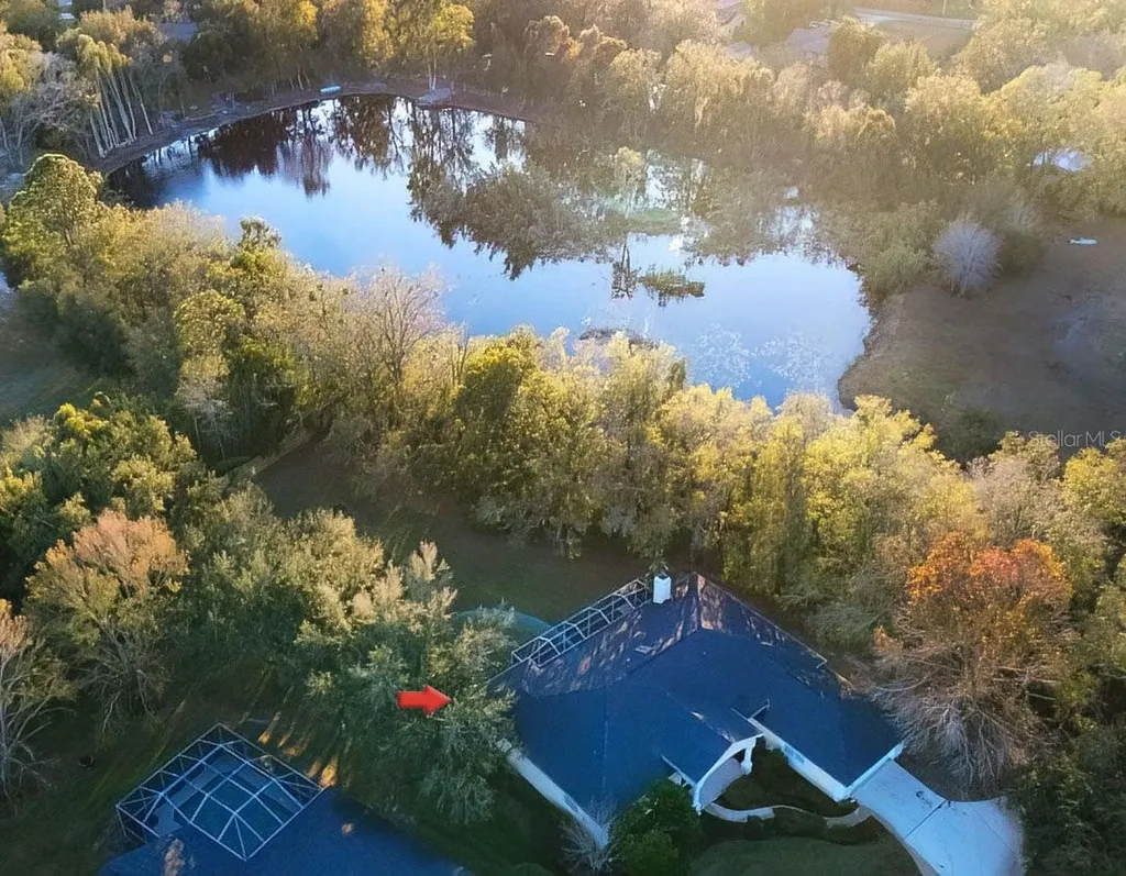 814 Brantenburg Way Lutz FL 33548