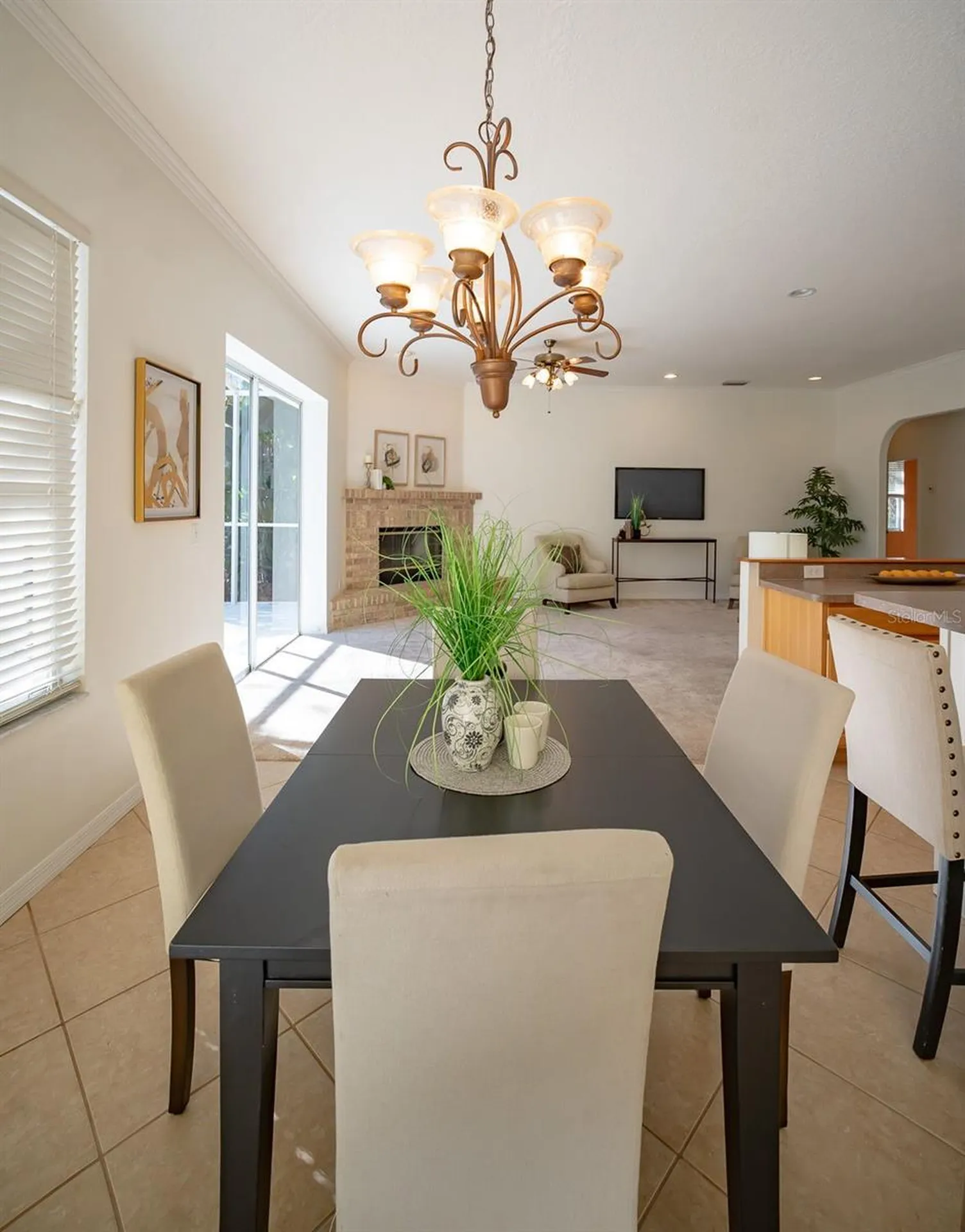 814 Brantenburg Way Lutz FL 33548