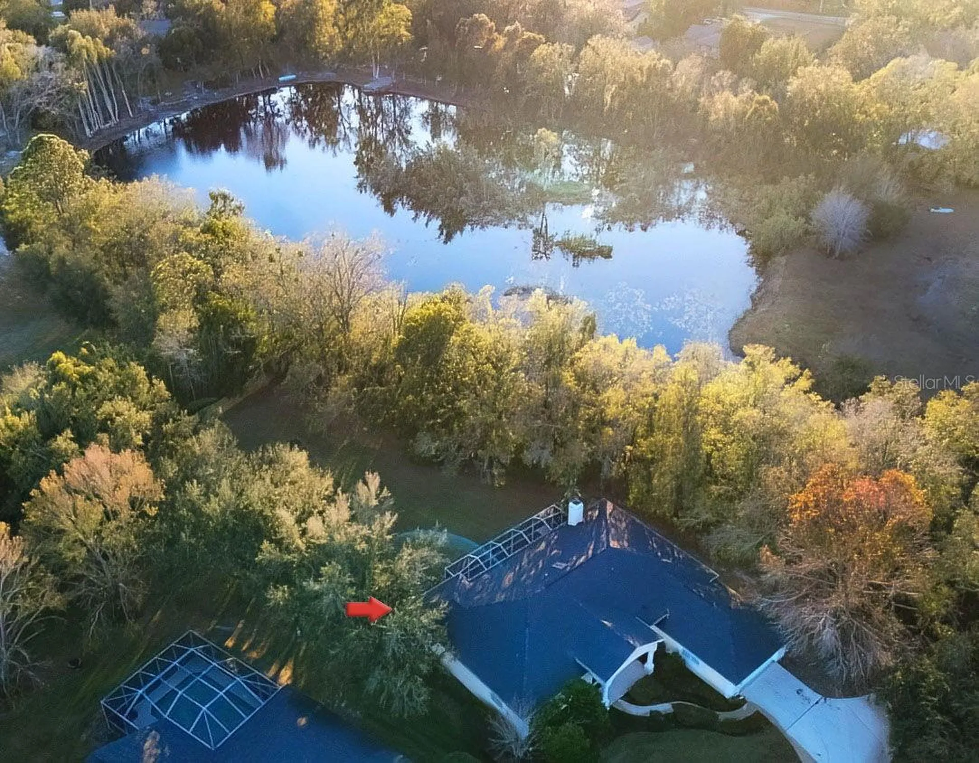 814 Brantenburg Way Lutz FL 33548