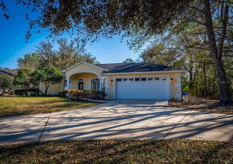 814 Brantenburg Way Lutz FL 33548