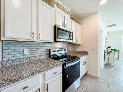 1737 Aurora Ridge Drive Zellwood FL 32798