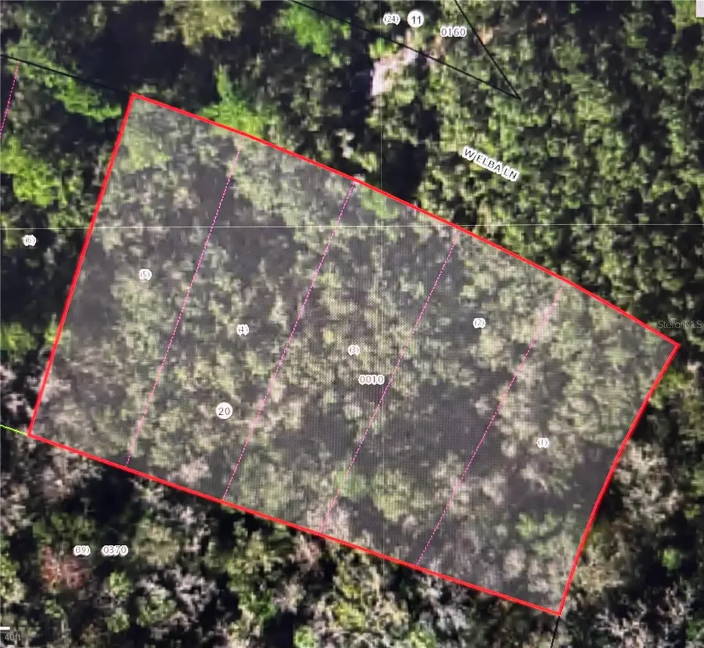 8748 W Elba Place Homosassa FL 34448