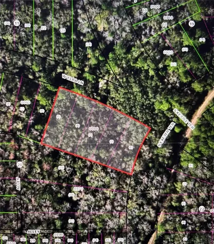 8748 W Elba Place Homosassa FL 34448