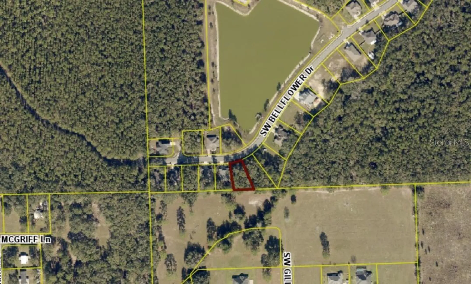 593 SW Bellflower Drive Lake City FL 32024