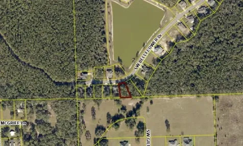 593 SW Bellflower Drive Lake City FL 32024
