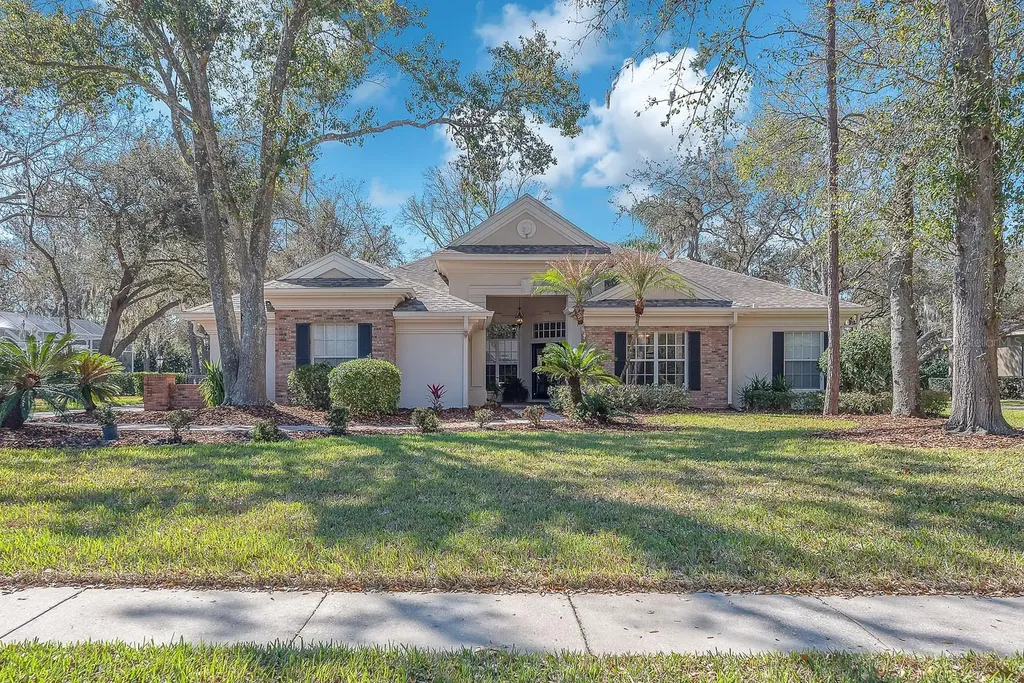 6109 Kingbird Manor Drive Lithia FL 33547