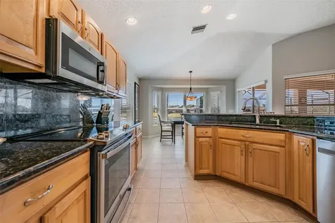 1751 Lakestone Drive Trinity FL 34655
