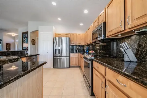 1751 Lakestone Drive Trinity FL 34655