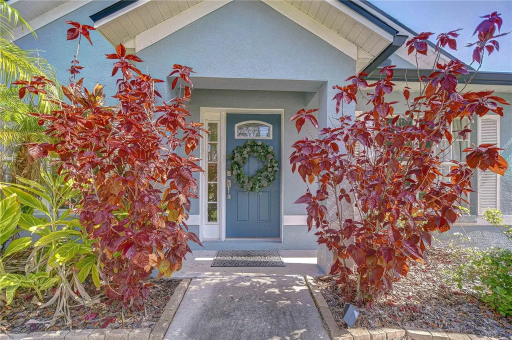 7107 Colonial Lake Drive Riverview FL 33578