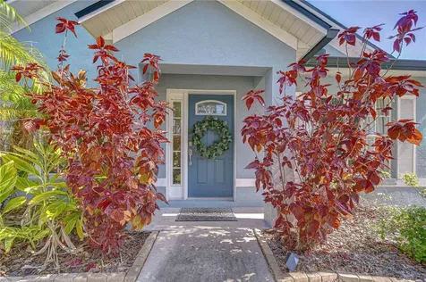 7107 Colonial Lake Drive Riverview FL 33578