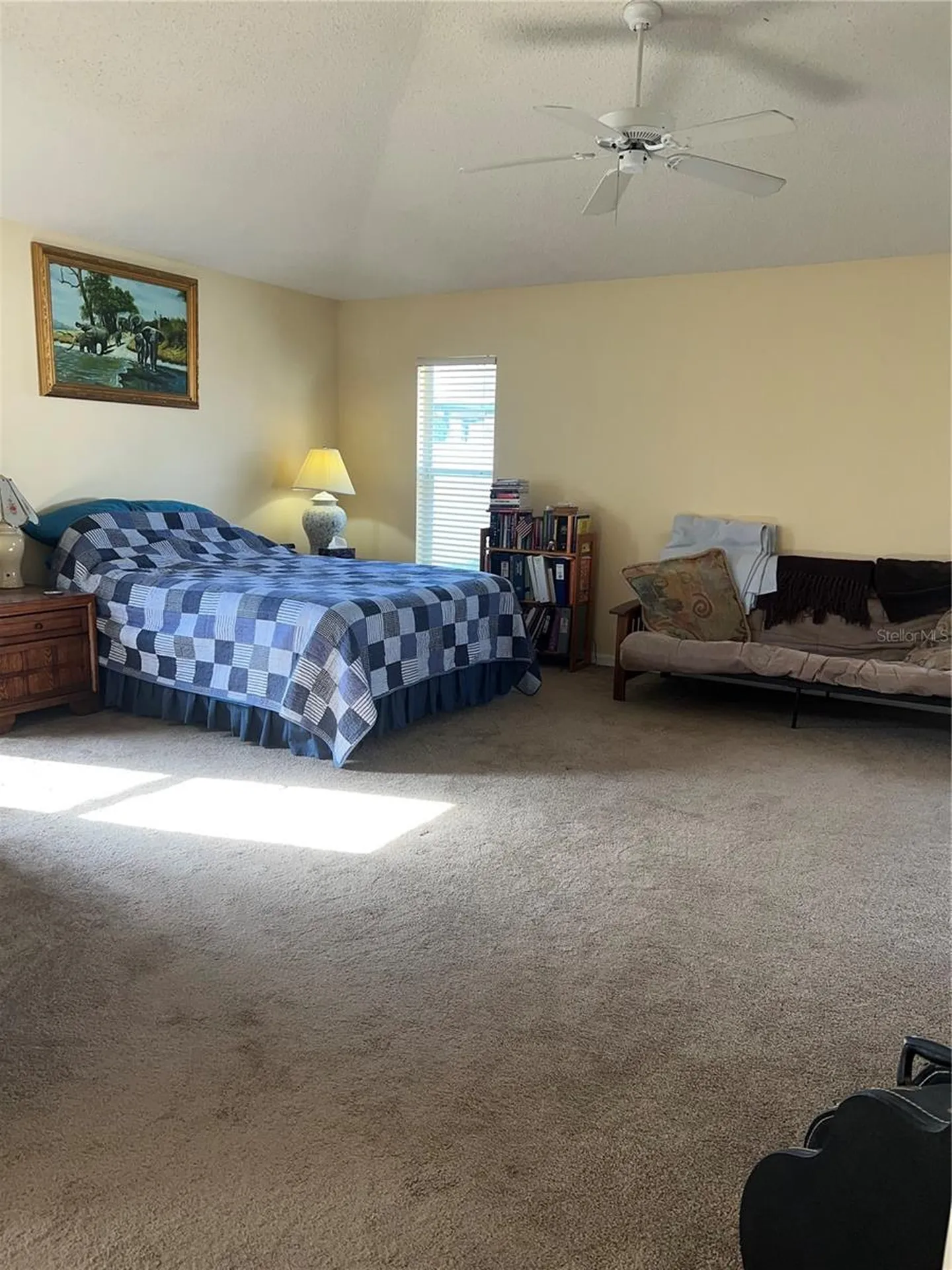 387 Tavernier Circle Oldsmar FL 34677
