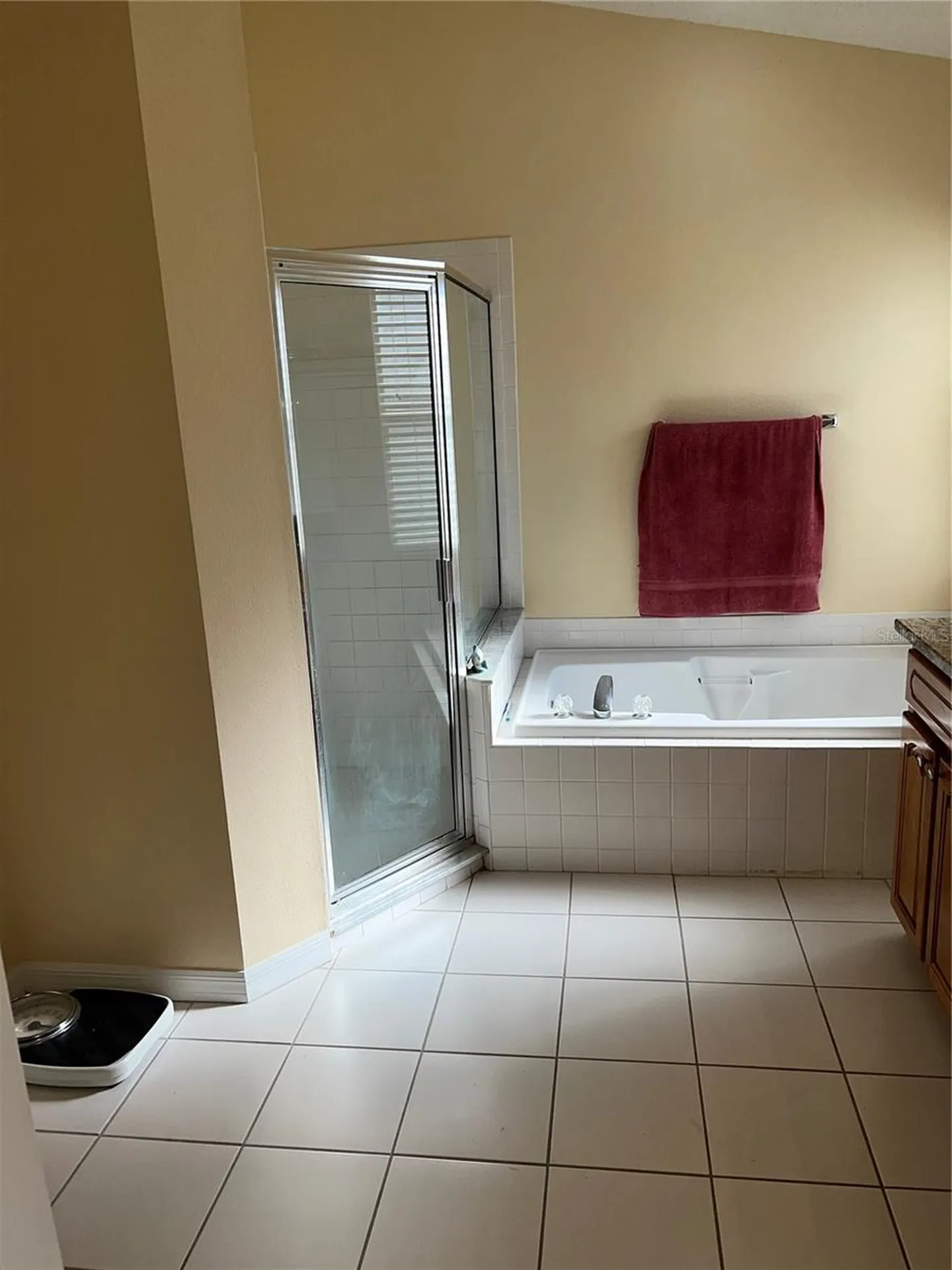 387 Tavernier Circle Oldsmar FL 34677