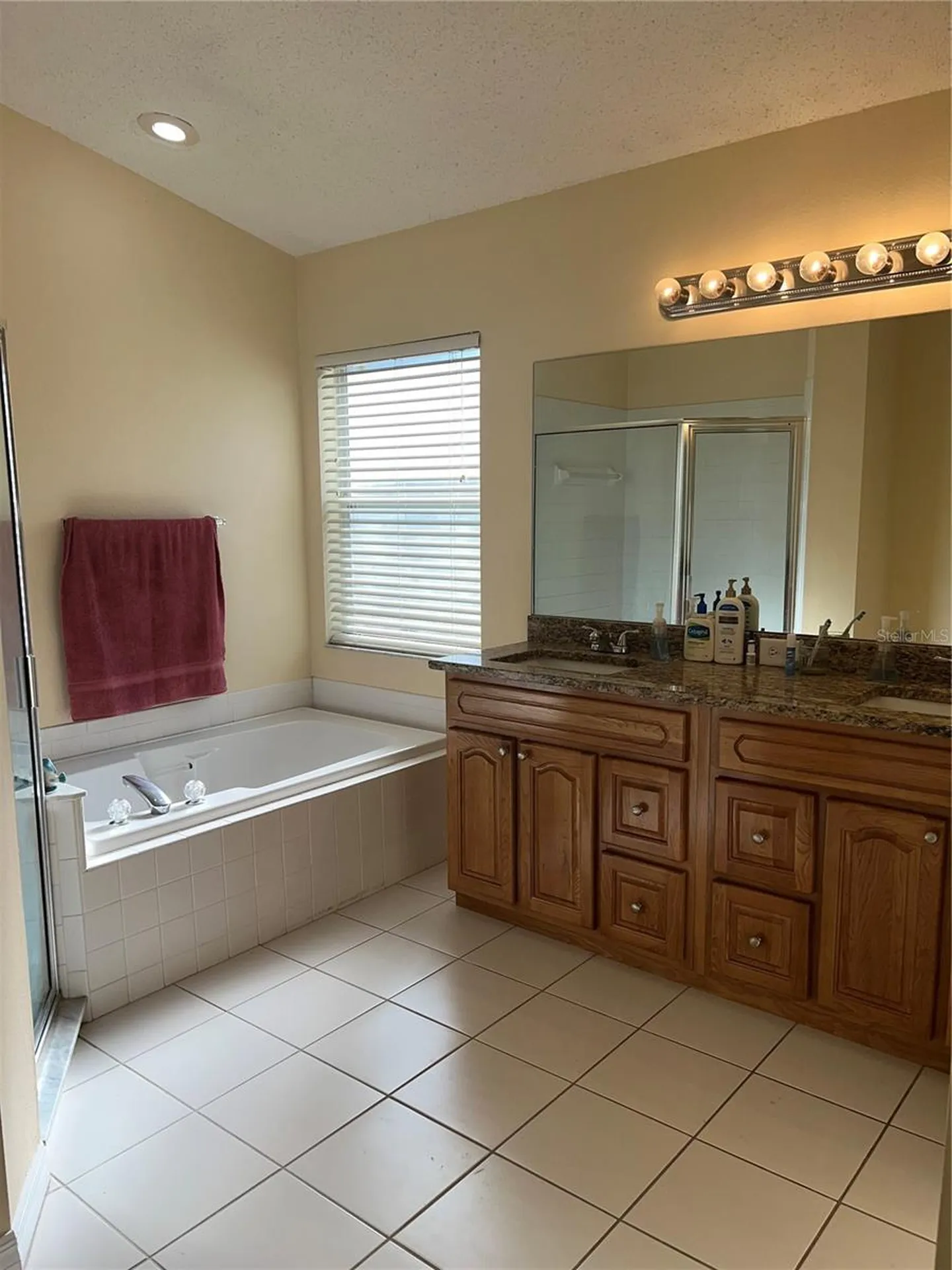 387 Tavernier Circle Oldsmar FL 34677