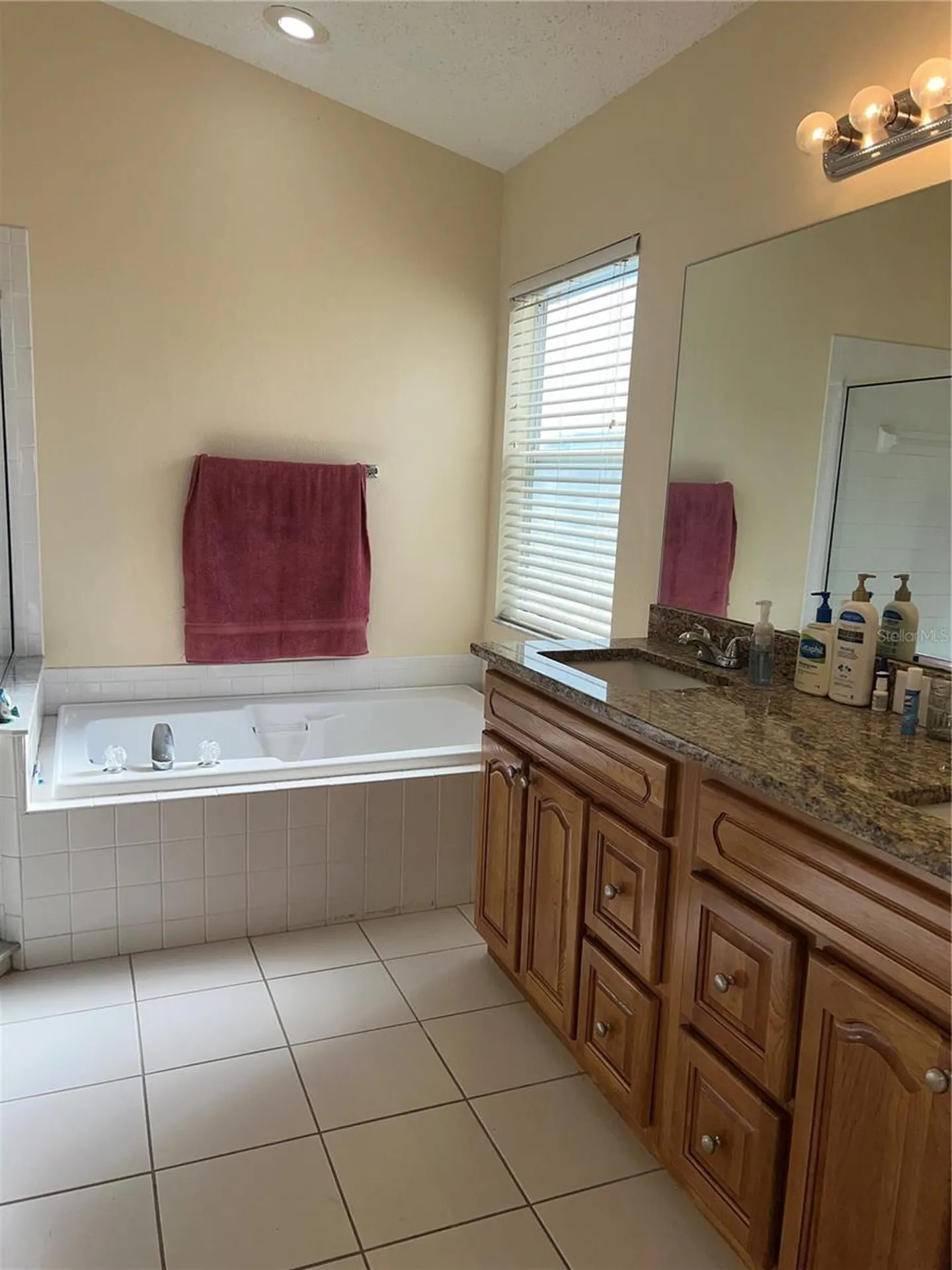 387 Tavernier Circle Oldsmar FL 34677