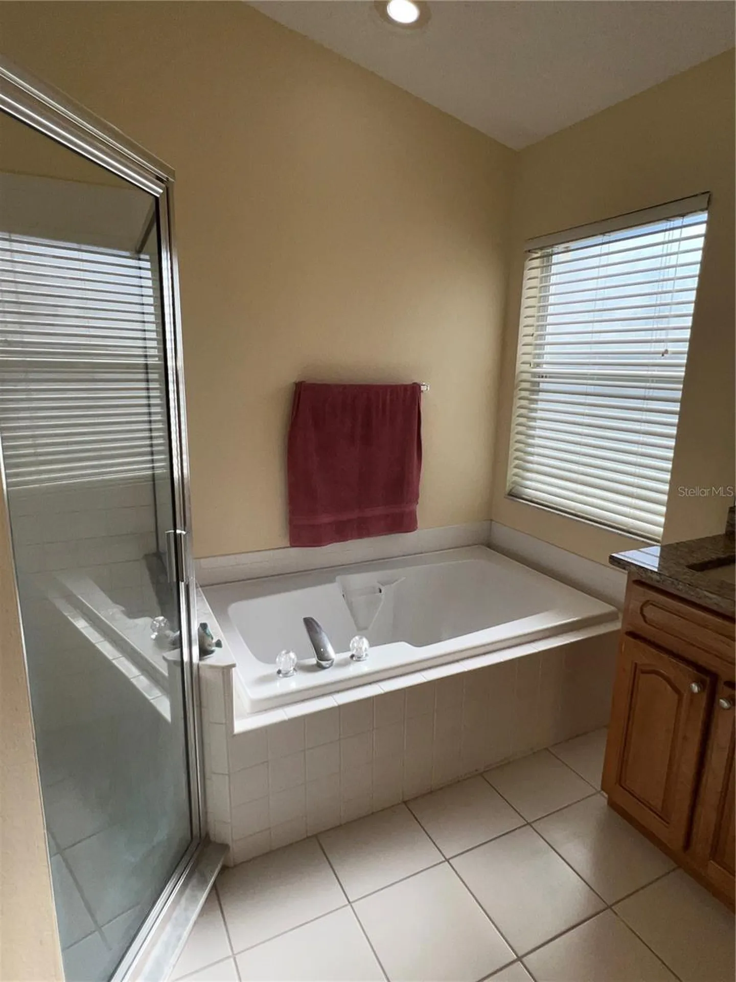 387 Tavernier Circle Oldsmar FL 34677