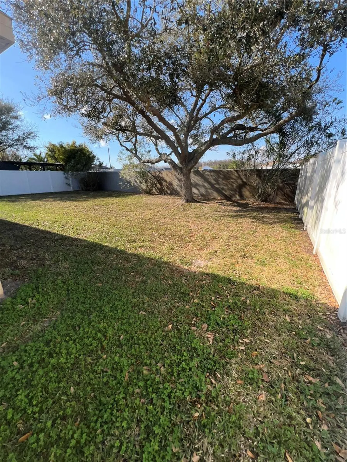 387 Tavernier Circle Oldsmar FL 34677