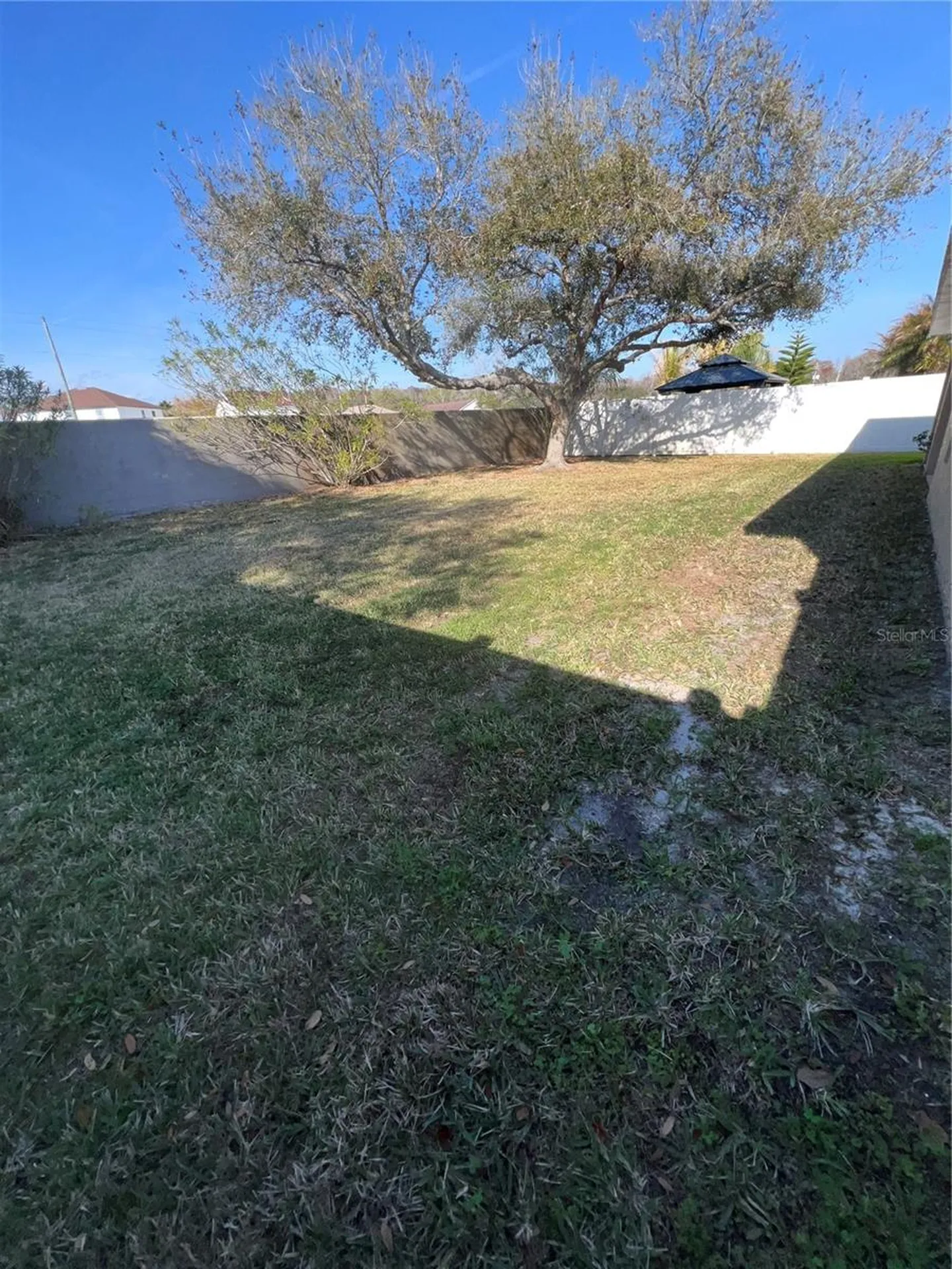 387 Tavernier Circle Oldsmar FL 34677