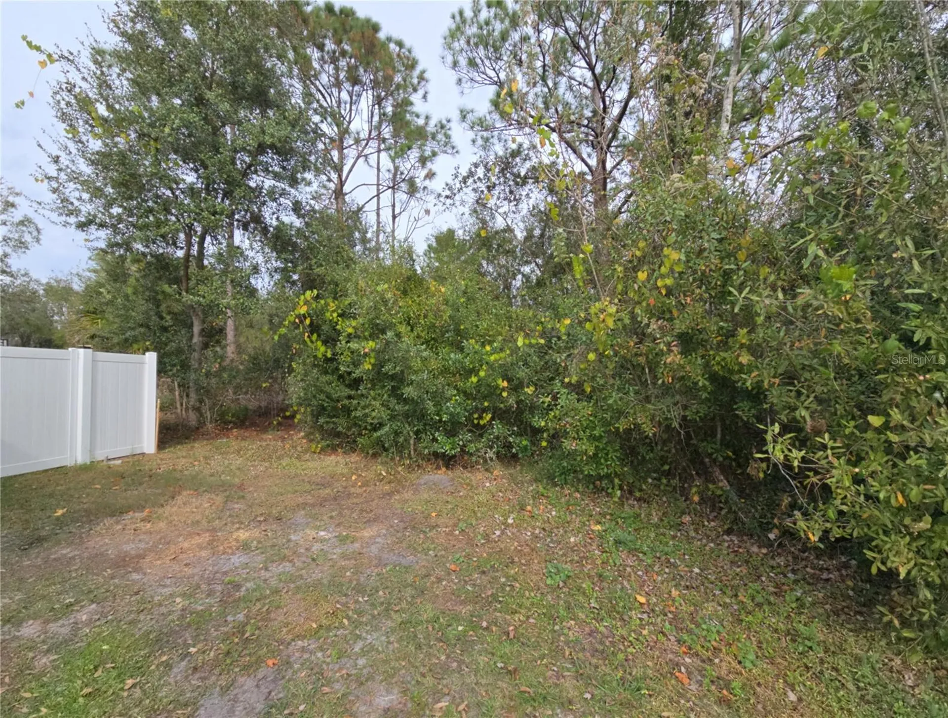 705 Wombat Way Kissimmee FL 34759