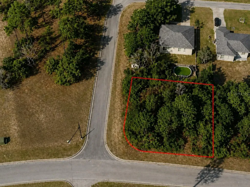 9391 N Stafford Drive Citrus Springs FL 34433