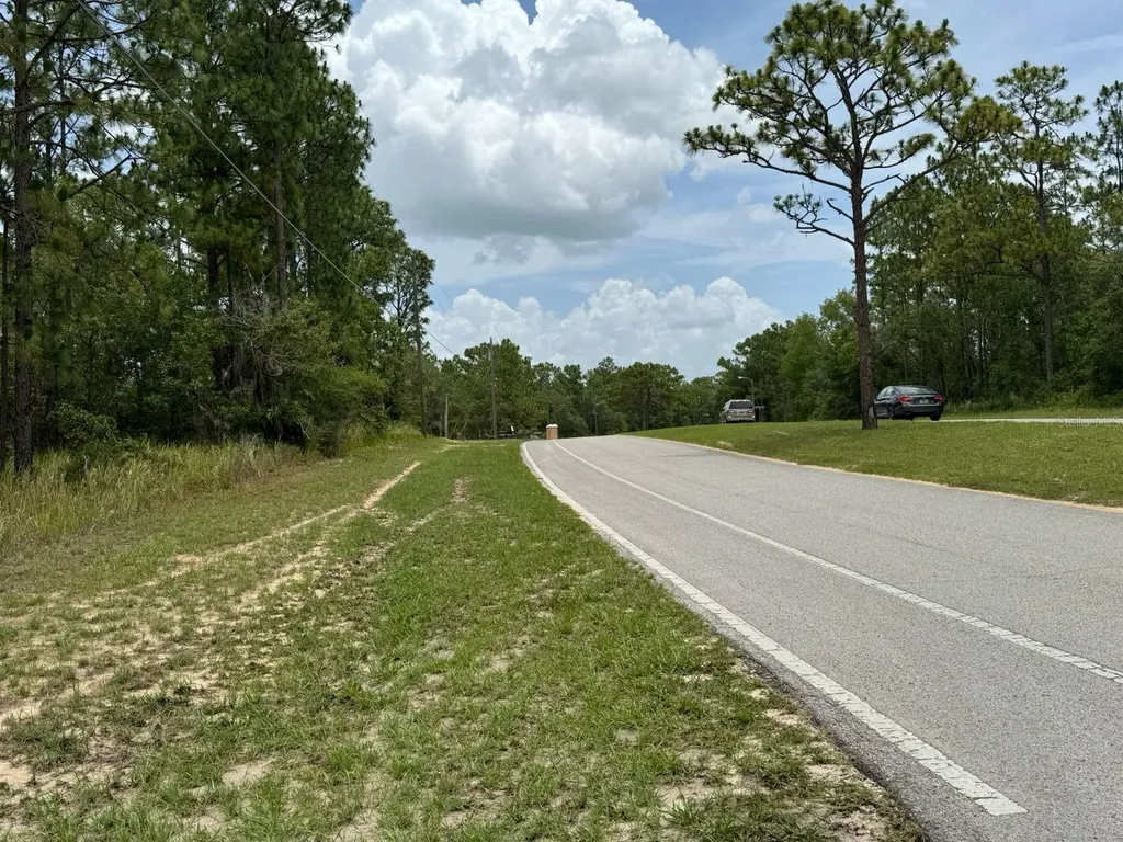 9391 N Stafford Drive Citrus Springs FL 34433