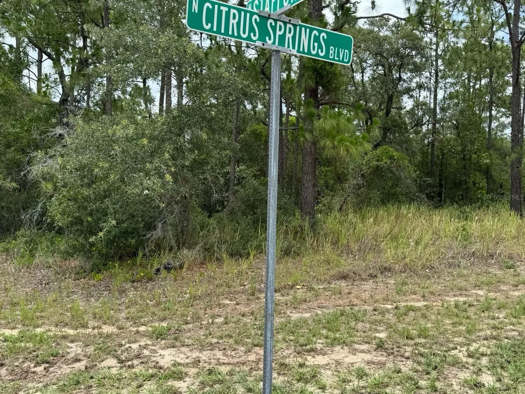 9391 N Stafford Drive Citrus Springs FL 34433
