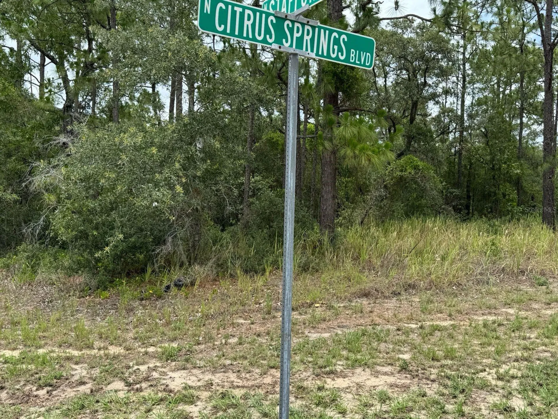9391 N Stafford Drive Citrus Springs FL 34433