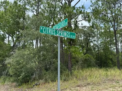 9391 N Stafford Drive Citrus Springs FL 34433