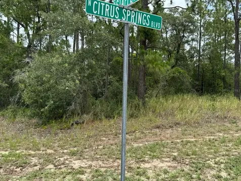 9391 N Stafford Drive Citrus Springs FL 34433