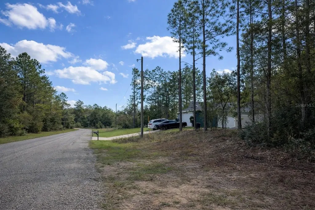 602 E Nemo Drive Dunnellon FL 34434