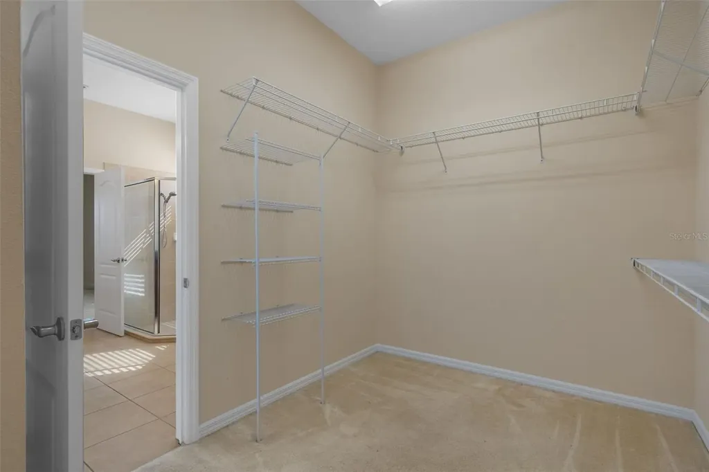 4206 Windcrest Drive Wesley Chapel FL 33544