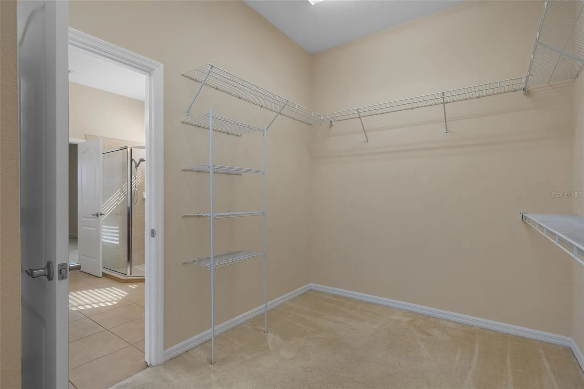 4206 Windcrest Drive Wesley Chapel FL 33544